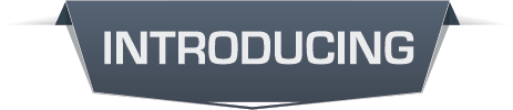 Introducing2